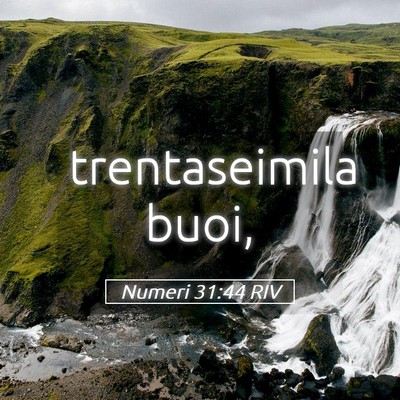 Picture 05 - Numeri 31:44 RIV - trentaseimila - Bible Verse Picture