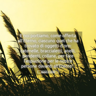 Picture 05 - Numeri 31:50 RIV - E noi portiamo, come offerta all’Eterno, - Bible Verse Picture