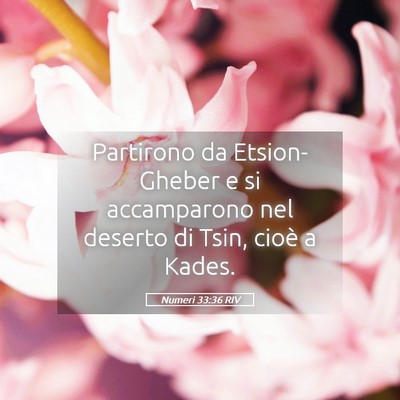 Picture 05 - Numeri 33:36 RIV - Partirono da Etsion-Gheber e si accamparono nel - Bible Verse Picture