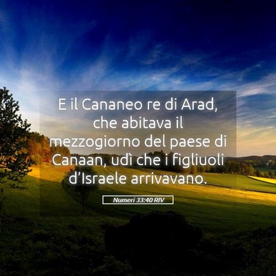 Picture 05 - Numeri 33:40 RIV - E il Cananeo re di Arad, che abitava il - Bible Verse Picture