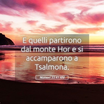 Picture 05 - Numeri 33:41 RIV - E quelli partirono dal monte Hor e si accamparono - Bible Verse Picture