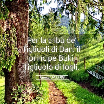 Picture 05 - Numeri 34:22 RIV - Per la tribù de’ figliuoli di Dan: il principe - Bible Verse Picture