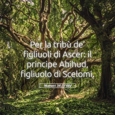 Picture 05 - Numeri 34:27 RIV - Per la tribù de’ figliuoli di Ascer: il - Bible Verse Picture