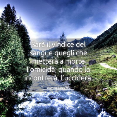 Picture 05 - Numeri 35:19 RIV - Sarà il vindice del sangue quegli che metterà a - Bible Verse Picture