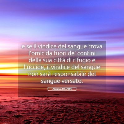 Picture 05 - Numeri 35:27 RIV - e se il vindice del sangue trova l’omicida - Bible Verse Picture