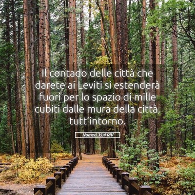 Picture 05 - Numeri 35:4 RIV - Il contado delle città che darete ai Leviti si - Bible Verse Picture