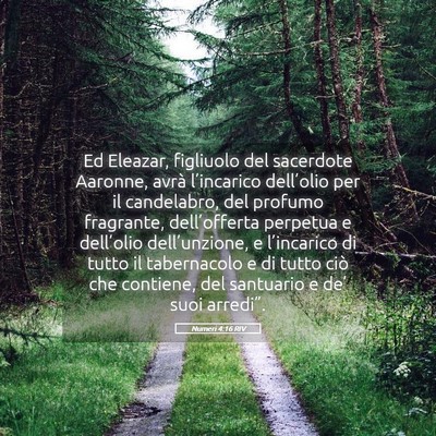 Picture 05 - Numeri 4:16 RIV - Ed Eleazar, figliuolo del sacerdote Aaronne, - Bible Verse Picture