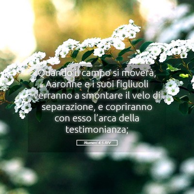 Picture 05 - Numeri 4:5 RIV - Quando il campo si moverà, Aaronne e i suoi - Bible Verse Picture
