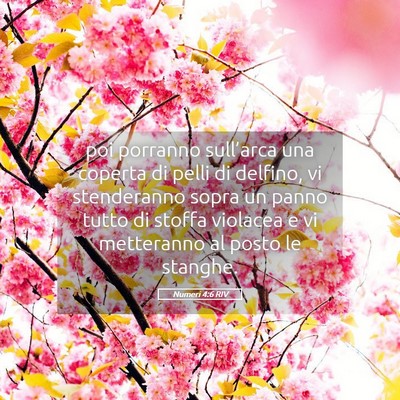 Picture 05 - Numeri 4:6 RIV - poi porranno sull’arca una coperta di pelli di - Bible Verse Picture