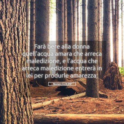 Picture 05 - Numeri 5:24 RIV - Farà bere alla donna quell’acqua amara che - Bible Verse Picture