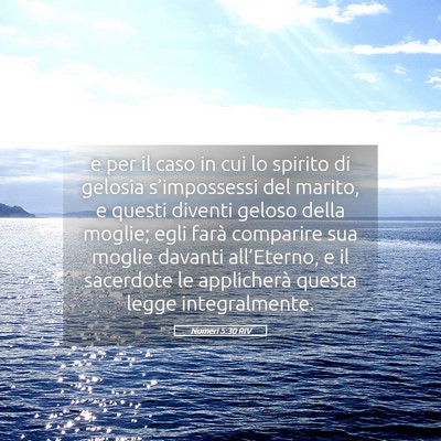 Picture 05 - Numeri 5:30 RIV - e per il caso in cui lo spirito di gelosia - Bible Verse Picture