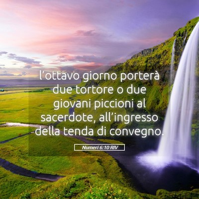 Picture 05 - Numeri 6:10 RIV - l’ottavo giorno porterà due tortore o due - Bible Verse Picture