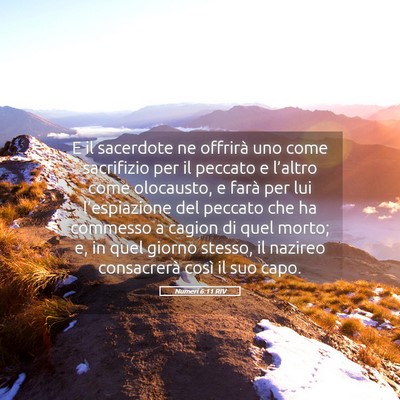 Picture 05 - Numeri 6:11 RIV - E il sacerdote ne offrirà uno come sacrifizio - Bible Verse Picture