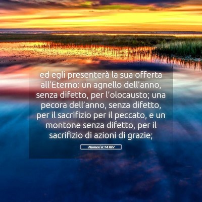 Picture 05 - Numeri 6:14 RIV - ed egli presenterà la sua offerta all’Eterno: - Bible Verse Picture