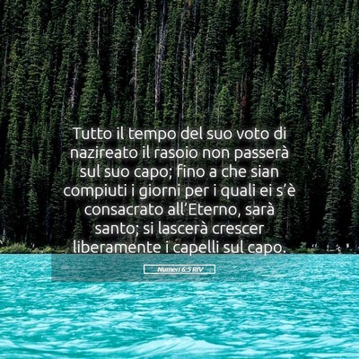 Picture 05 - Numeri 6:5 RIV - Tutto il tempo del suo voto di nazireato il - Bible Verse Picture