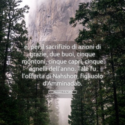 Picture 05 - Numeri 7:17 RIV - e, per il sacrifizio di azioni di grazie, due - Bible Verse Picture