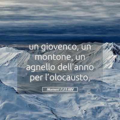 Picture 05 - Numeri 7:21 RIV - un giovenco, un montone, un agnello dell’anno - Bible Verse Picture