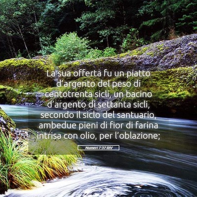 Picture 05 - Numeri 7:37 RIV - La sua offerta fu un piatto d’argento del peso - Bible Verse Picture