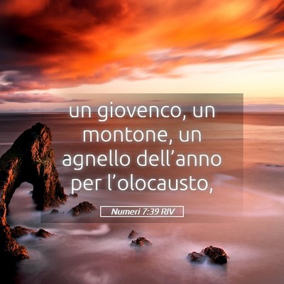 Picture 05 - Numeri 7:39 RIV - un giovenco, un montone, un agnello dell’anno - Bible Verse Picture