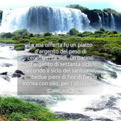 Picture 05 - Numeri 7:43 RIV - La sua offerta fu un piatto d’argento del peso - Bible Verse Picture