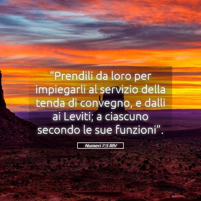 Picture 05 - Numeri 7:5 RIV - “Prendili da loro per impiegarli al servizio - Bible Verse Picture