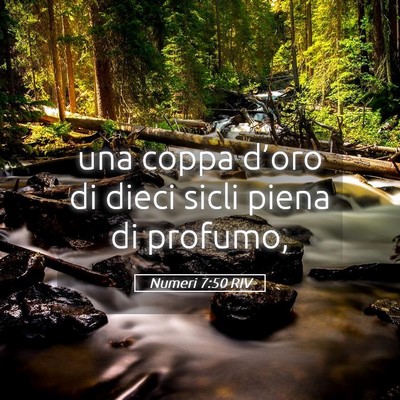 Picture 05 - Numeri 7:50 RIV - una coppa d’oro di dieci sicli piena di - Bible Verse Picture