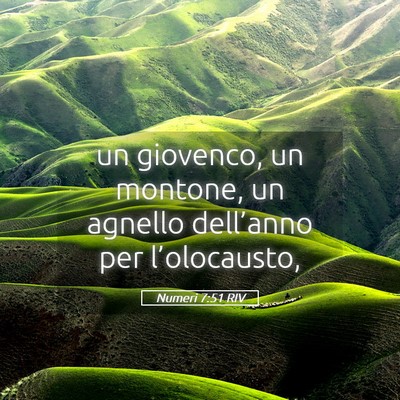Picture 05 - Numeri 7:51 RIV - un giovenco, un montone, un agnello dell’anno - Bible Verse Picture