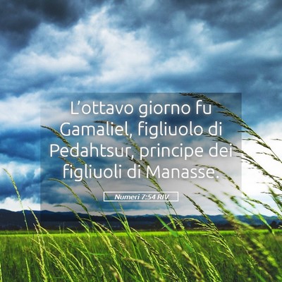 Picture 05 - Numeri 7:54 RIV - L’ottavo giorno fu Gamaliel, figliuolo di - Bible Verse Picture