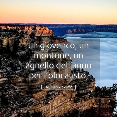 Picture 05 - Numeri 7:57 RIV - un giovenco, un montone, un agnello dell’anno - Bible Verse Picture