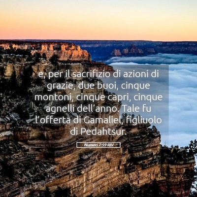 Picture 05 - Numeri 7:59 RIV - e, per il sacrifizio di azioni di grazie, due - Bible Verse Picture