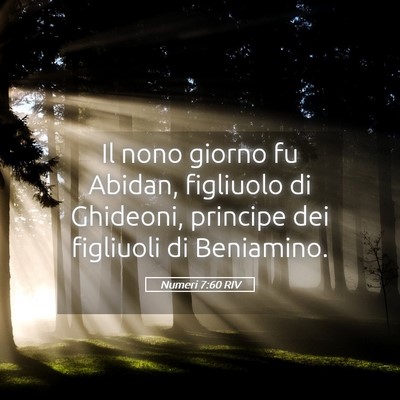 Picture 05 - Numeri 7:60 RIV - Il nono giorno fu Abidan, figliuolo di Ghideoni, - Bible Verse Picture
