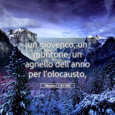 Picture 05 - Numeri 7:63 RIV - un giovenco, un montone, un agnello dell’anno - Bible Verse Picture