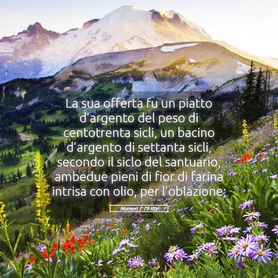 Picture 05 - Numeri 7:79 RIV - La sua offerta fu un piatto d’argento del peso - Bible Verse Picture