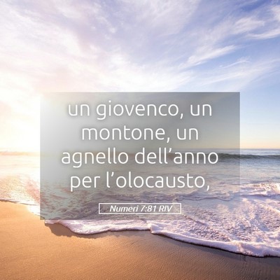 Picture 05 - Numeri 7:81 RIV - un giovenco, un montone, un agnello dell’anno - Bible Verse Picture