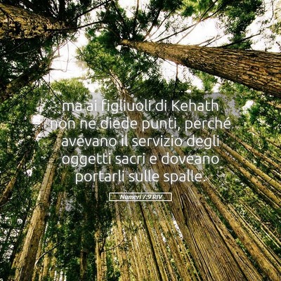 Picture 05 - Numeri 7:9 RIV - ma ai figliuoli di Kehath non ne diede punti, - Bible Verse Picture