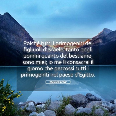 Picture 05 - Numeri 8:17 RIV - Poiché tutti i primogeniti dei figliuoli - Bible Verse Picture