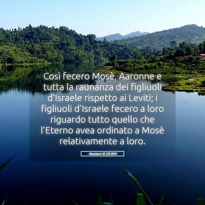Picture 05 - Numeri 8:20 RIV - Così fecero Mosè, Aaronne e tutta la raunanza - Bible Verse Picture