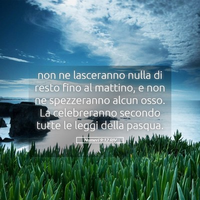 Picture 05 - Numeri 9:12 RIV - non ne lasceranno nulla di resto fino al mattino, - Bible Verse Picture