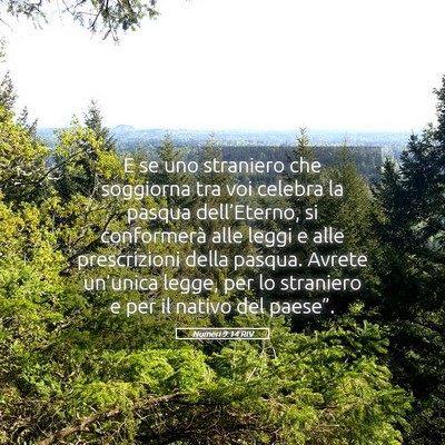 Picture 05 - Numeri 9:14 RIV - E se uno straniero che soggiorna tra voi celebra - Bible Verse Picture