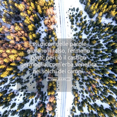 Picture 05 - Osea 10:4 RIV - Essi dicon delle parole, giurano il falso, - Bible Verse Picture