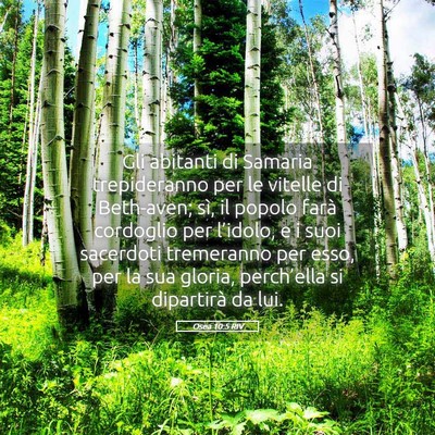 Picture 05 - Osea 10:5 RIV - Gli abitanti di Samaria trepideranno per le - Bible Verse Picture