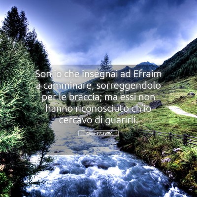 Picture 05 - Osea 11:3 RIV - Son io che insegnai ad Efraim a camminare, - Bible Verse Picture