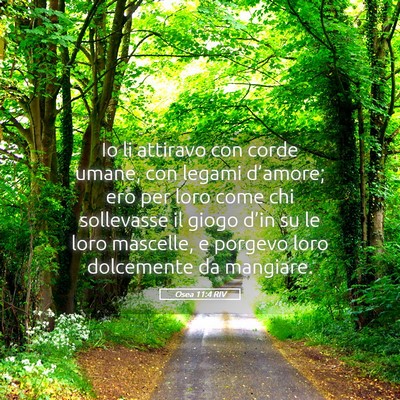 Picture 05 - Osea 11:4 RIV - Io li attiravo con corde umane, con legami - Bible Verse Picture
