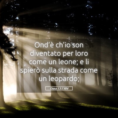 Picture 05 - Osea 13:7 RIV - Ond’è ch’io son diventato per loro come un - Bible Verse Picture