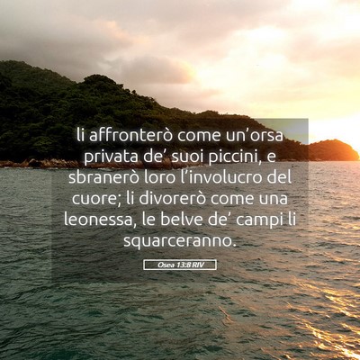 Picture 05 - Osea 13:8 RIV - li affronterò come un’orsa privata de’ suoi - Bible Verse Picture