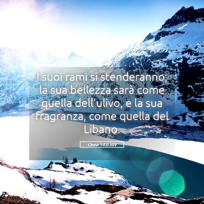 Picture 05 - Osea 14:6 RIV - I suoi rami si stenderanno; la sua bellezza sarà - Bible Verse Picture