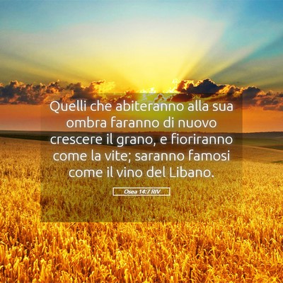 Picture 05 - Osea 14:7 RIV - Quelli che abiteranno alla sua ombra faranno di - Bible Verse Picture