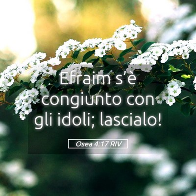 Picture 05 - Osea 4:17 RIV - Efraim s’è congiunto con gli idoli; - Bible Verse Picture
