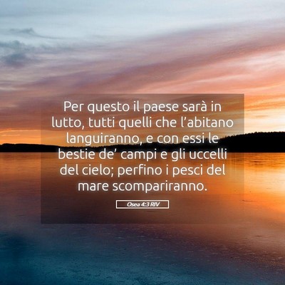 Picture 05 - Osea 4:3 RIV - Per questo il paese sarà in lutto, tutti quelli - Bible Verse Picture