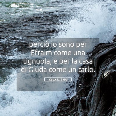 Picture 05 - Osea 5:12 RIV - perciò io sono per Efraim come una tignuola, e - Bible Verse Picture